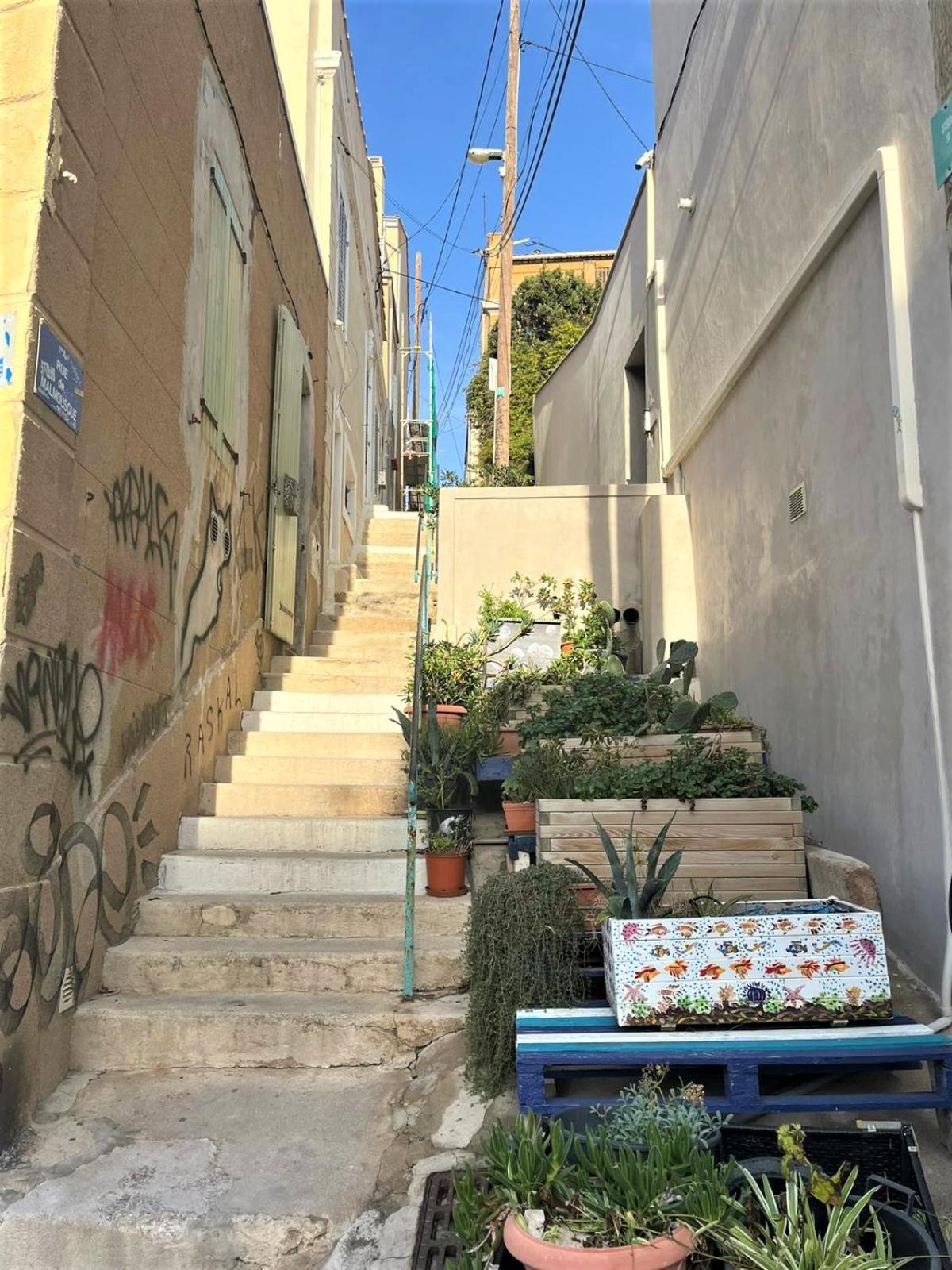 Appartement Coccon Malmousque